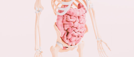 Can Hemorrhoids Cause Urethral Pain? Understanding the Connection - Hem Healer