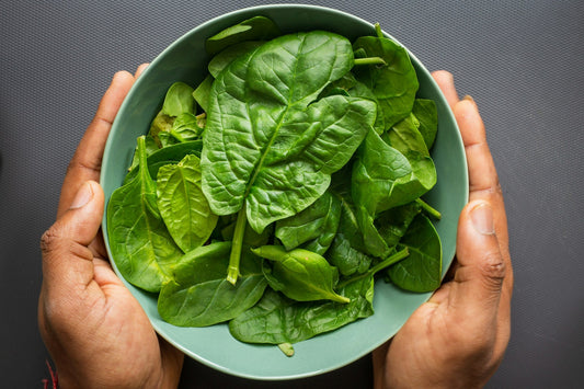Fiber Supplement for Hemorrhoids: Benefits of Soluble Options - Hem Healer