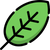 Leaf icon